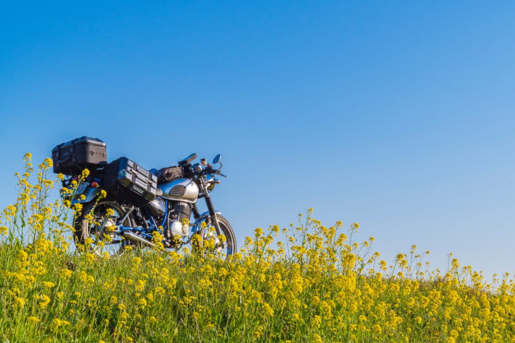 菜の花畑とバイク